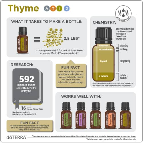 1x1-500x500-thyme-infographic doTERRA æterisk olie af timian (15ml) - Billede 2