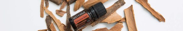 doTERRA kanel (kanel) æterisk olie (5ml) - Billede 4