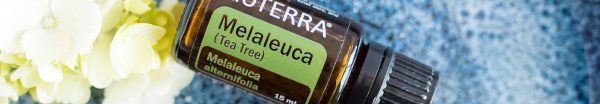 doTERRA Tea Tree (Melaleuca) Æterisk olie (15ml) - Billede 2