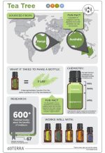 doTERRA Tea Tree (Melaleuca) Æterisk olie (15ml) - Billede 4