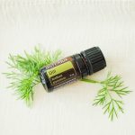 doTERRA Dill æterisk olie (5ml)
