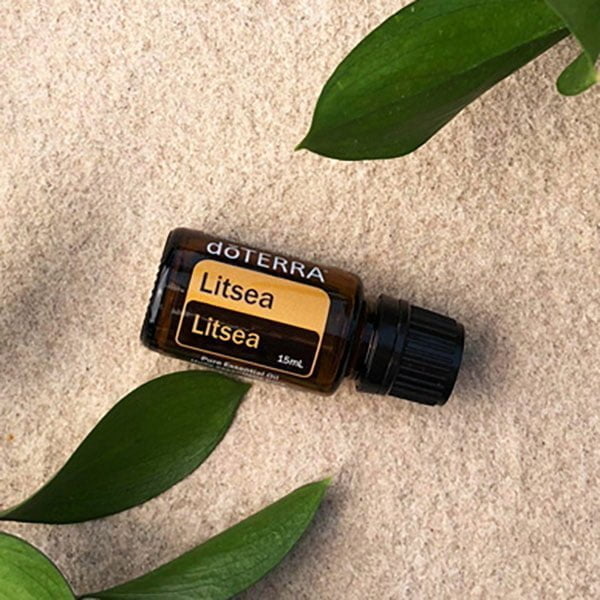 doTERRA-Litsea-Essential-Oil-Plant&Flaske-15mL doTERRA Litsea æterisk olie (15ml) - Billede 1