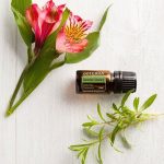 doTERRA Summer Savory (Savory) Æterisk olie (5ml)