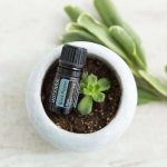 doTERRA Black Pepper (Sort Peber) Æterisk Olie (5ml)