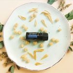 doTERRA Blue Tansy Æterisk Olie (5ml)