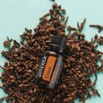 doTERRA Clove (Nelliker) Æterisk Olie (15ml)