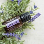 doTERRA Lavender (Lavendel) Æterisk Olie (15ml)