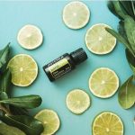 doTERRA Lime Æterisk Olie (15ml)