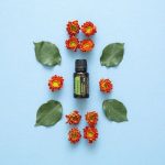 doTERRA Rosemary (Rosmarin) Æterisk Olie (15ml)