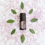 doTERRA Sandalwood Hawaiian (Sandeltræ) Æterisk Olie (5ml)