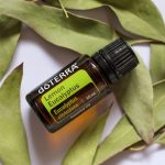 doTERRA Lemon Eucalyptus (Citroneukalyptus) Æterisk Olie (15ml)