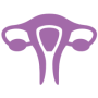 uterus